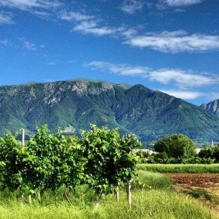 Appartamento GrappaLand Crespano del Grappa Esterno foto