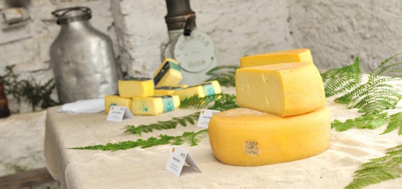 Appartamento GrappaLand Crespano del Grappa Esterno foto