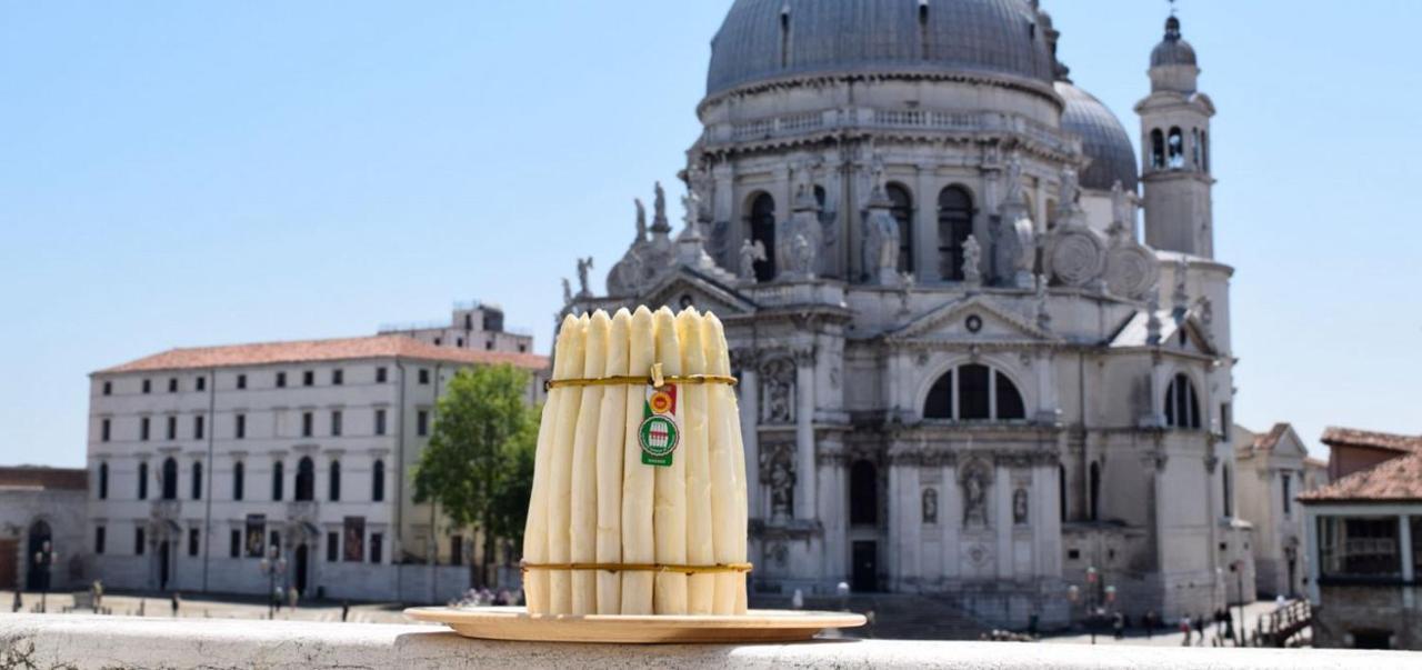 Appartamento GrappaLand Crespano del Grappa Esterno foto