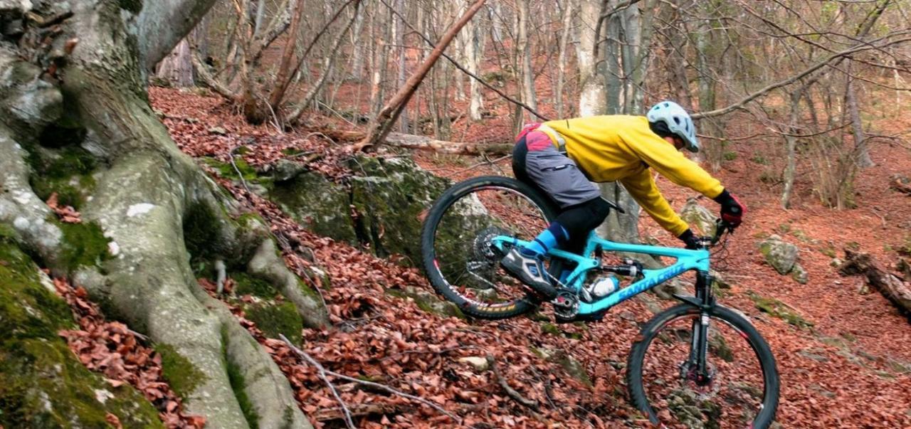 Appartamento GrappaLand Crespano del Grappa Esterno foto