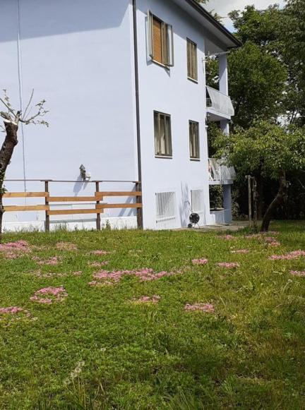 Appartamento GrappaLand Crespano del Grappa Esterno foto